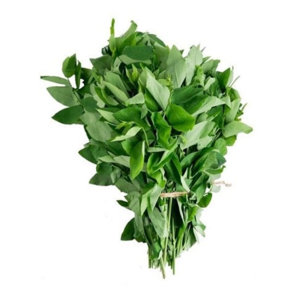 Rau Ngót Hữu Cơ 250g