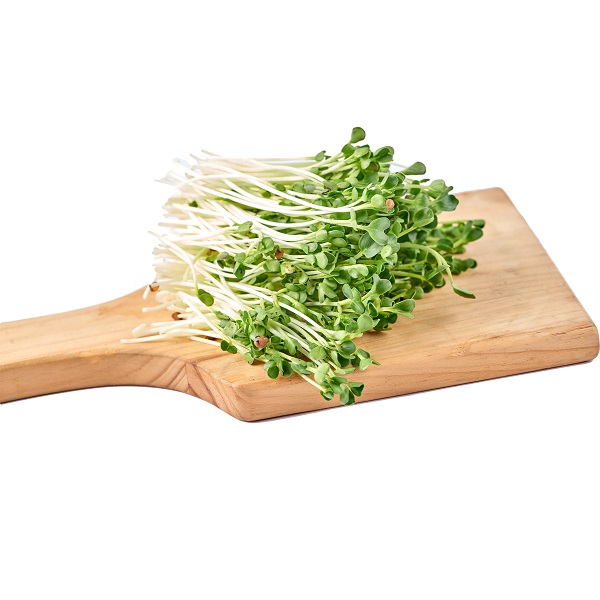 Mầm Cải Ngọt 120g